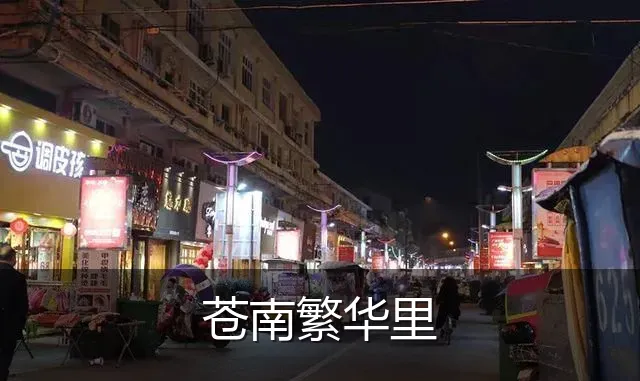 苍南繁华里